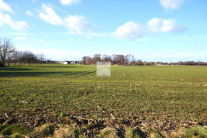 Działka na sprzedaż 5300m2 jarosławski Jarosław Wólka Pełkińska - zdjęcie 2