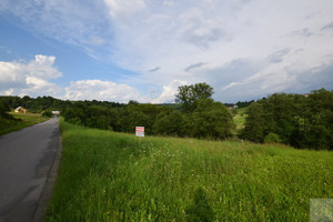 Działka na sprzedaż 2200m2 brzozowski Domaradz - zdjęcie 3