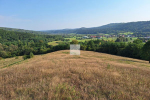 Działka na sprzedaż 120500m2 przemyski Fredropol Huwniki - zdjęcie 2