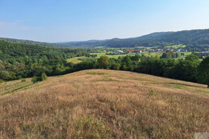 Działka na sprzedaż 120500m2 przemyski Fredropol Huwniki - zdjęcie 2