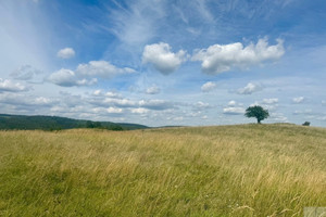 Działka na sprzedaż 12500m2 przemyski Fredropol - zdjęcie 1