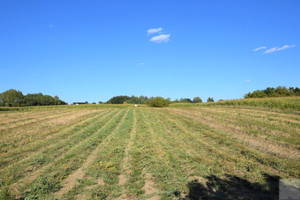 Działka na sprzedaż 3800m2 jarosławski Jarosław Batalionów Chłopskich - zdjęcie 2