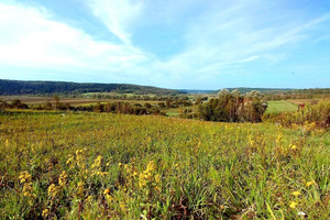 Działka na sprzedaż 900m2 przemyski Krzywcza - zdjęcie 3