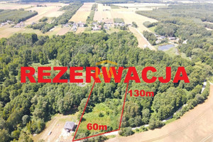 Działka na sprzedaż 7800m2 radomski Wolanów Kowala-Duszocina - zdjęcie 1