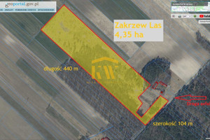 Działka na sprzedaż 43500m2 radomski Zakrzew Zakrzew-Las - zdjęcie 1