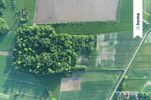 Działka na sprzedaż 70600m2 sławieński Postomino Łącko - zdjęcie 3