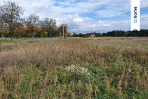 Działka na sprzedaż 3820m2 głogowski Głogów Wilków Jarzębinowa - zdjęcie 1