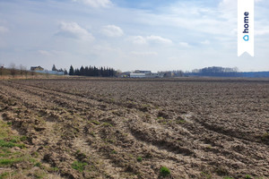 Działka na sprzedaż 2413m2 wrocławski Długołęka Budziwojowice - zdjęcie 2