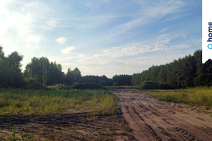 Działka na sprzedaż 2996m2 toruński Lubicz Kopanino - zdjęcie 3