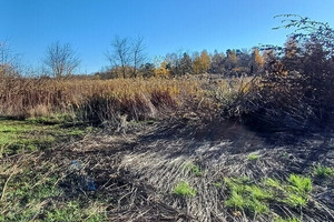 Działka na sprzedaż 4800m2 toruński Lubicz Złotoria Wiśniowa - zdjęcie 3