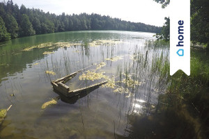 Działka na sprzedaż lipnowski Wielgie Piaseczno - zdjęcie 2