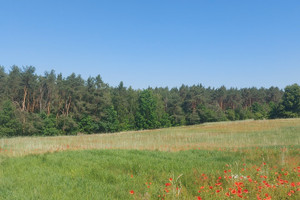 Działka na sprzedaż 3637m2 włocławski Fabianki Nowy Witoszyn - zdjęcie 1