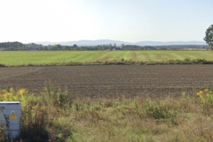 Działka na sprzedaż 11985m2 zgorzelecki Zgorzelec Łagów Jeleniogórska - zdjęcie 3