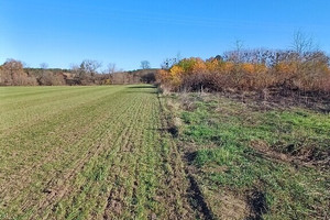 Działka na sprzedaż 4800m2 toruński Lubicz Złotoria Wiśniowa - zdjęcie 1