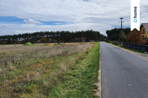 Działka na sprzedaż 3820m2 głogowski Głogów Wilków Jarzębinowa - zdjęcie 2