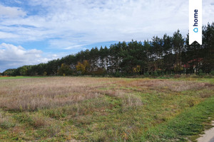 Działka na sprzedaż 3820m2 głogowski Głogów Wilków Jarzębinowa - zdjęcie 3