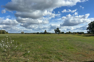 Działka na sprzedaż 14000m2 wołomiński Radzymin Łąki - zdjęcie 3