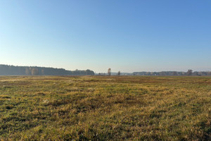 Działka na sprzedaż 27100m2 wołomiński Radzymin Nowe Załubice - zdjęcie 3