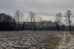 Działka na sprzedaż wołomiński Dąbrówka Guzowatka - zdjęcie 3