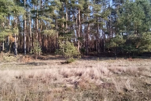 Działka na sprzedaż 2093m2 toruński Zławieś Wielka Zarośle Cienkie - zdjęcie 1