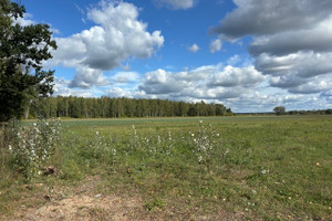 Działka na sprzedaż 14000m2 wołomiński Radzymin Łąki - zdjęcie 2