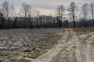 Działka na sprzedaż wołomiński Dąbrówka Guzowatka - zdjęcie 2