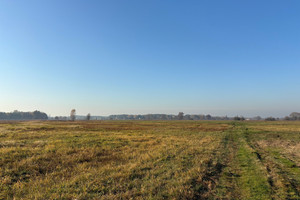 Działka na sprzedaż 27100m2 wołomiński Radzymin Nowe Załubice - zdjęcie 2