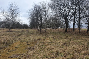 Działka na sprzedaż bydgoski Dobrcz Kozielec - zdjęcie 3