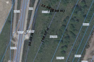 Działka na sprzedaż 3730m2 pruszkowski Raszyn Dawidy Złote Łany - zdjęcie 1