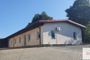 Komercyjne na sprzedaż 1181m2 cieszyński Dębowiec - zdjęcie 3