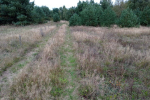 Działka na sprzedaż 3167m2 szamotulski Szamotuły Koźle - zdjęcie 1