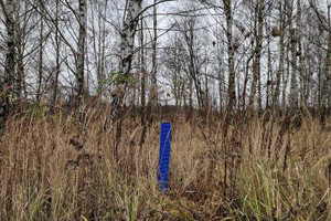 Działka na sprzedaż poznański Tarnowo Podgórne Sady Topolowa - zdjęcie 2