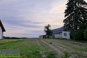 Działka na sprzedaż 11949m2 szamotulski Duszniki Sarbia - zdjęcie 3