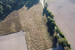 Działka na sprzedaż 1005m2 wągrowiecki Skoki Potrzanowo - zdjęcie 3