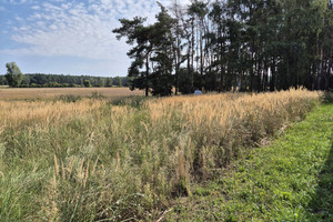 Działka na sprzedaż 812m2 szamotulski Kaźmierz Radzyny Limonkowa - zdjęcie 1