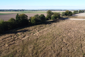 Działka na sprzedaż 1005m2 wągrowiecki Skoki Potrzanowo - zdjęcie 2