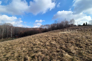 Działka na sprzedaż 1352m2 wielicki Wieliczka Dobranowice - zdjęcie 3