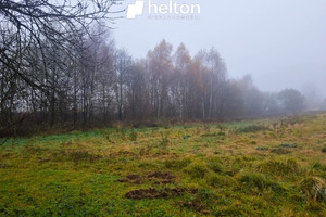 Działka na sprzedaż 16116m2 krakowski Wielka Wieś Bębło - zdjęcie 1