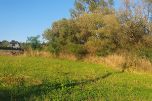 Działka na sprzedaż 1300m2 krakowski Michałowice - zdjęcie 2