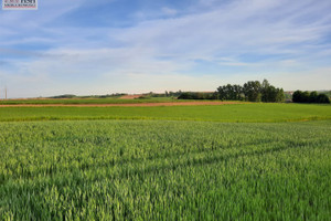 Działka na sprzedaż 11200m2 krakowski Słomniki Brończyce - zdjęcie 3