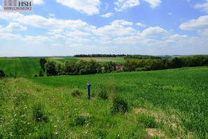 Działka na sprzedaż krakowski Iwanowice Władysław - zdjęcie 1