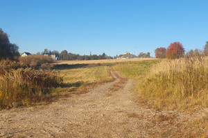 Działka na sprzedaż 1238m2 krakowski Michałowice - zdjęcie 3