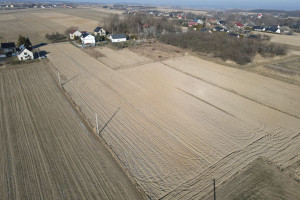 Działka na sprzedaż 3278m2 krakowski Skała Rzeplin - zdjęcie 2