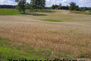 Działka na sprzedaż 4094m2 olsztyński Biskupiec Biesówko - zdjęcie 2