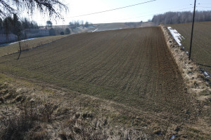 Działka na sprzedaż 19626m2 krakowski Skała Minoga - zdjęcie 2