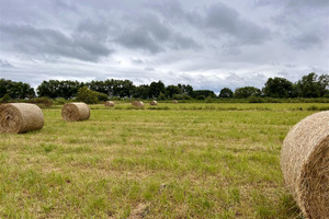 Działka na sprzedaż 2900m2 Mały Komorsk - zdjęcie 1