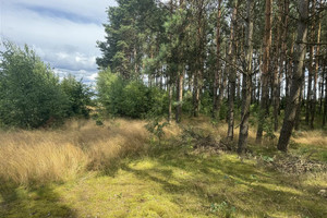 Działka na sprzedaż 9800m2 starogardzki Skórcz Czarnylas Wybudowanie - zdjęcie 2