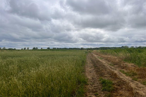 Działka na sprzedaż 2900m2 Mały Komorsk - zdjęcie 3