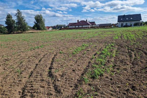 Działka na sprzedaż 1003m2 pucki Puck Swarzewska - zdjęcie 1