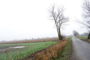 Działka na sprzedaż 119557m2 elbląski Elbląg Janowo - zdjęcie 2